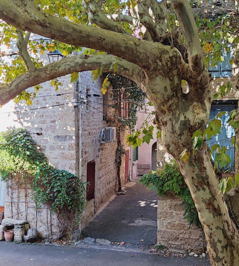 Villa Fontilha Usclas-l'Herault Εξωτερικό φωτογραφία
